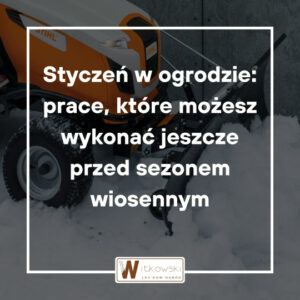 Read more about the article Styczeń w ogrodzie
