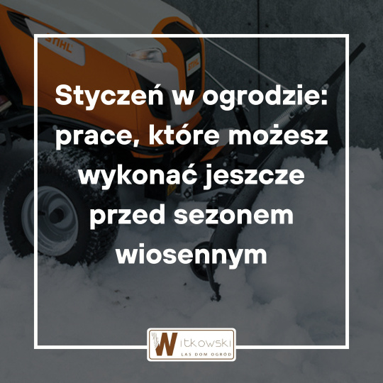 Read more about the article Styczeń w ogrodzie