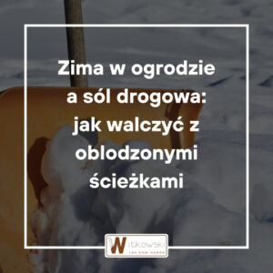Read more about the article Jak działa sól drogowa w ogrodzie i dlaczego NIE działa