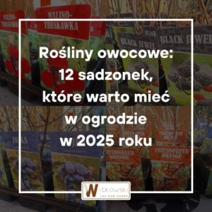 Read more about the article Rośliny owocowe: 12 sadzonek, które warto mieć w ogrodzie w 2025 roku