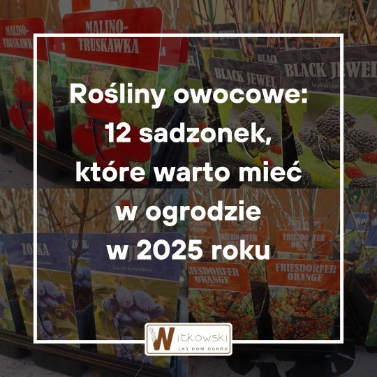Read more about the article Rośliny owocowe: 12 sadzonek, które warto mieć w ogrodzie w 2025 roku