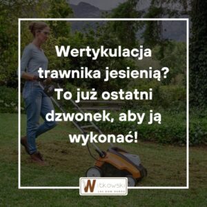 Read more about the article Wertykulacja trawnika jesienią – to już ostatni dzwonek, by ją wykonać