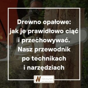 Read more about the article Drewno na opał – jak ciąć drewno opałowe i je właściwie przechowywać?