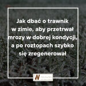 Read more about the article Jak dbać o trawnik w zimie, aby przetrwał mrozy w dobrej kondycji