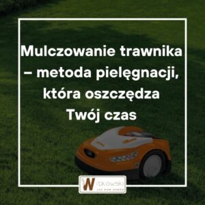 Read more about the article Mulczowanie trawnika krok po kroku: jak często, kiedy i czym mulczować