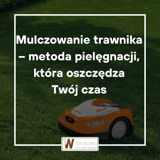 Read more about the article Mulczowanie trawnika krok po kroku: jak często, kiedy i czym mulczować