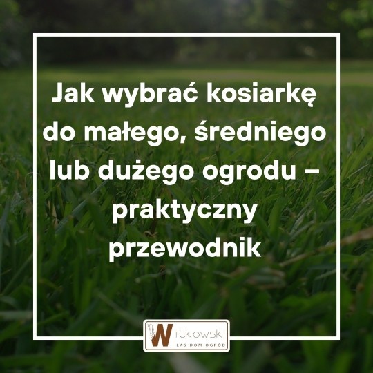 Read more about the article Kosiarka do ogrodu – jak ją wybrać? Praktyczny przewodnik przed zakupem