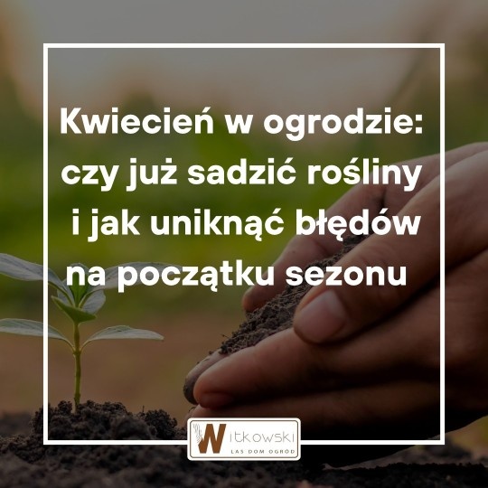 Kwiecień w ogrodzie: czy już sadzić rośliny?