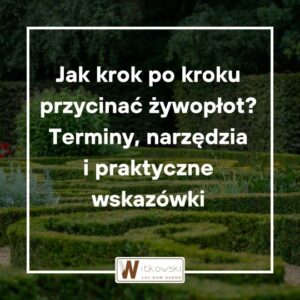 Read more about the article Przycinanie żywopłotu – kiedy można przycinać żywopłot? Przewodnik po pielęgnacji żywopłotu