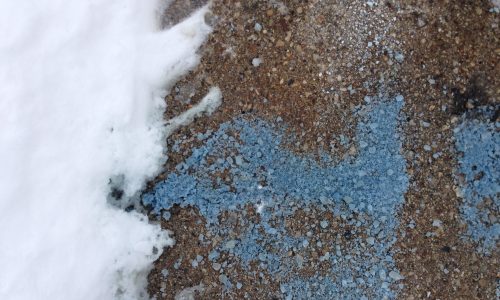 Negatywne oddziaływanie soli drogowej w ogrodzie