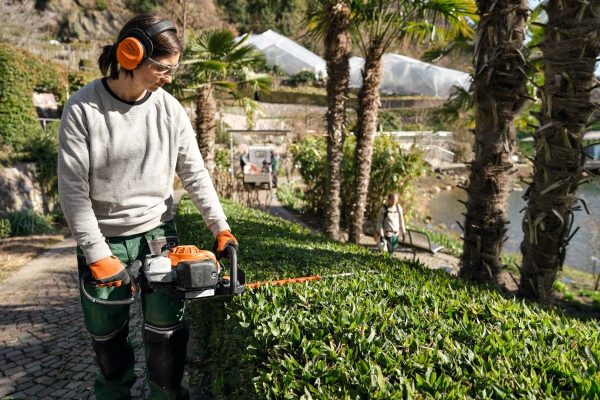 PPHU Witkowski, przycinanie żywopłotu, kiedy przycinać żywopłot, narzędzia do cięcia żywopłotu, nożyce akumulatorowe STIHL, ochrona słuchu STIHL