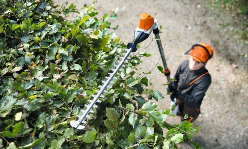 PPHU Witkowski, przycinanie żywopłotu, kiedy przycinać żywopłot, narzędzia do cięcia żywopłotu, STIHL do żywopłotu, akumulatorowe nożyce do żywopłotów HLA 86