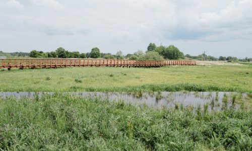 Ogrody Bioróżnorodności w Żmigrodzie