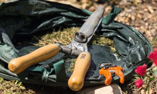 PPHU Witkowski, przycinanie żywopłotu, kiedy przycinać żywopłot, narzędzia do cięcia żywopłotu, STIHL do żywopłotu, nożyce do żywopłotu STIHL PH 10