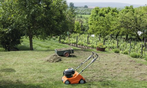 PPHU Witkowski, autoryzowany dealer STIHL, wertykulacja trawnika jesienią, wertykulator STIHL